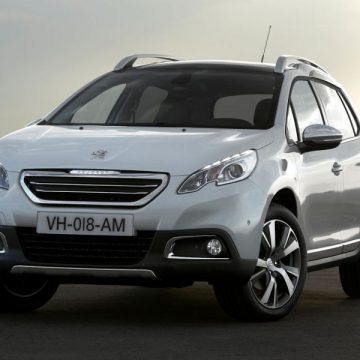 Station Wagon / Crossover